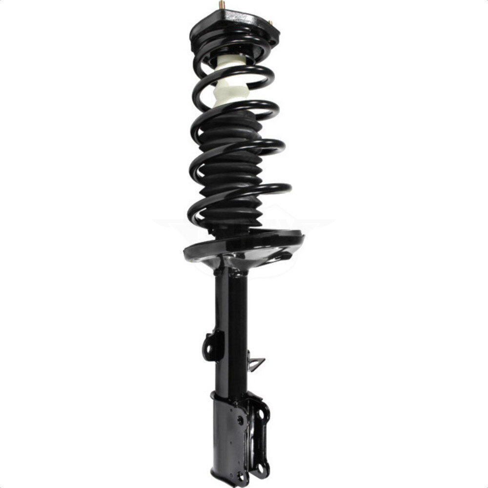 Suspension Strut Coil Spring Assembly