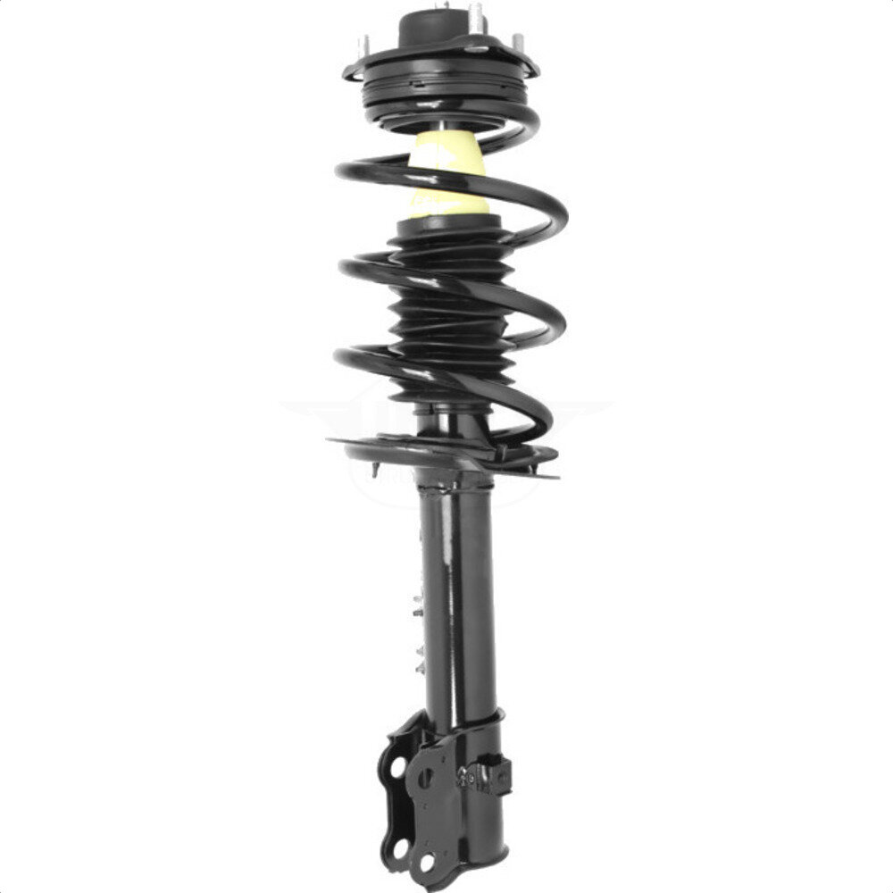 Suspension Strut Coil Spring Assembly