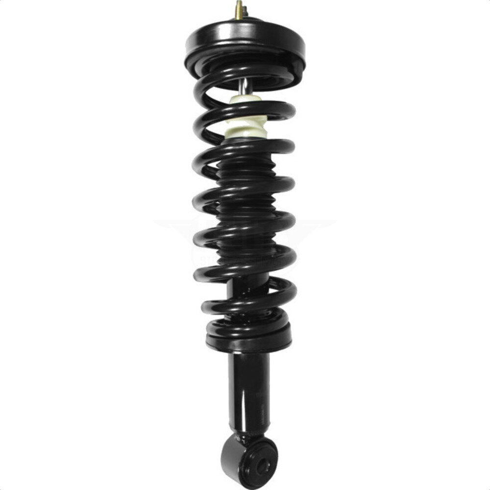 Suspension Strut Coil Spring Assembly