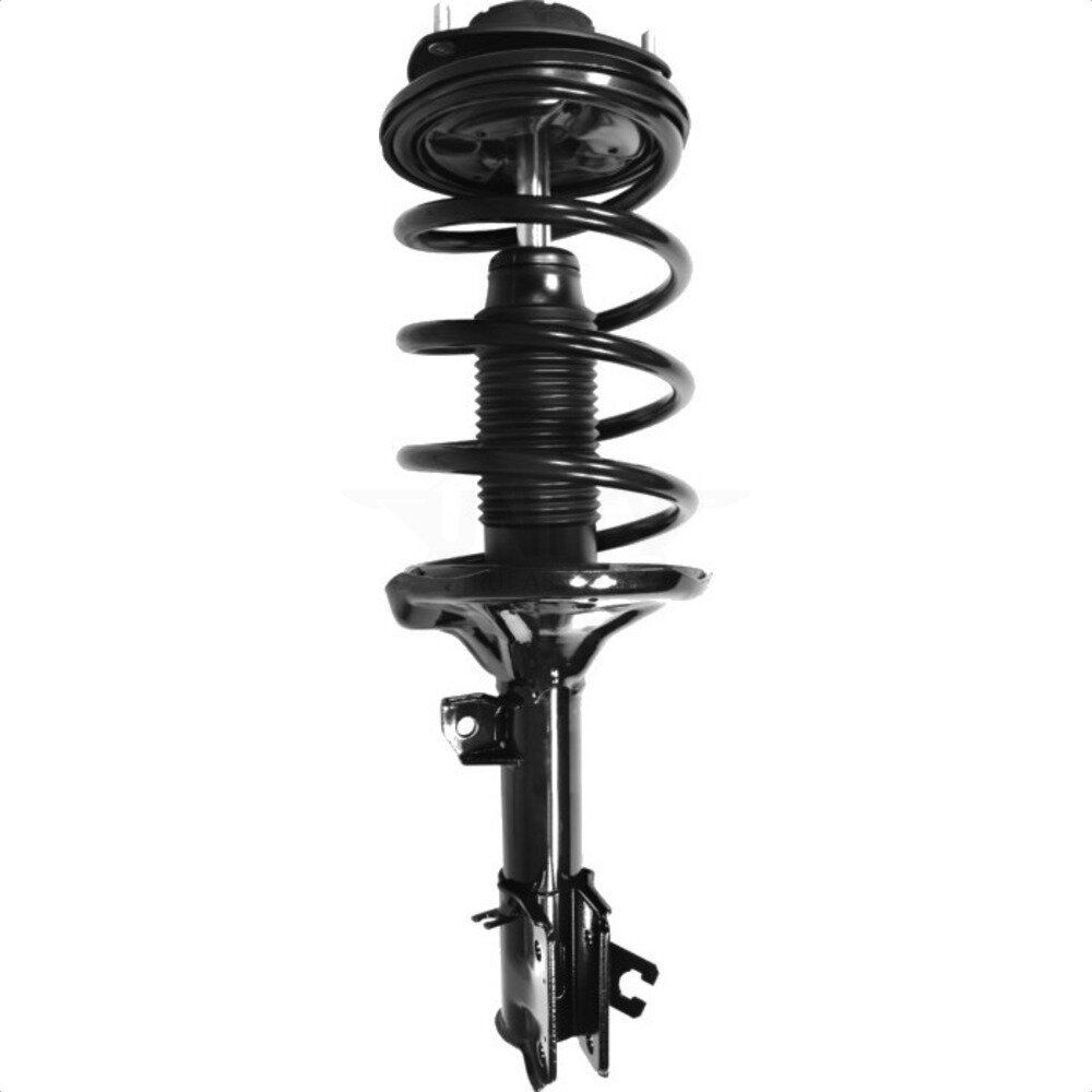 Suspension Strut Coil Spring Assembly