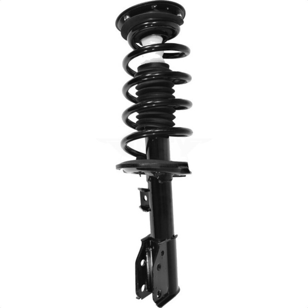Suspension Strut Coil Spring Assembly