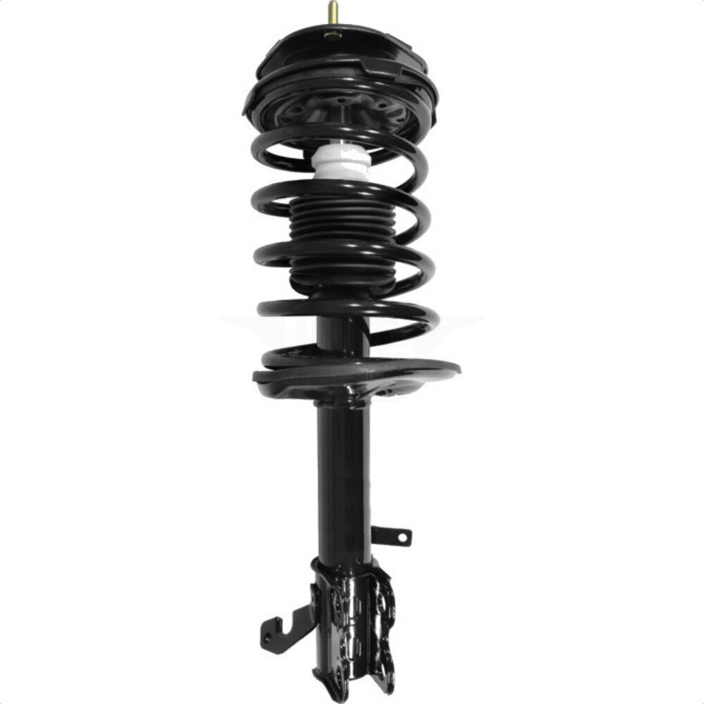 Suspension Strut Coil Spring Assembly