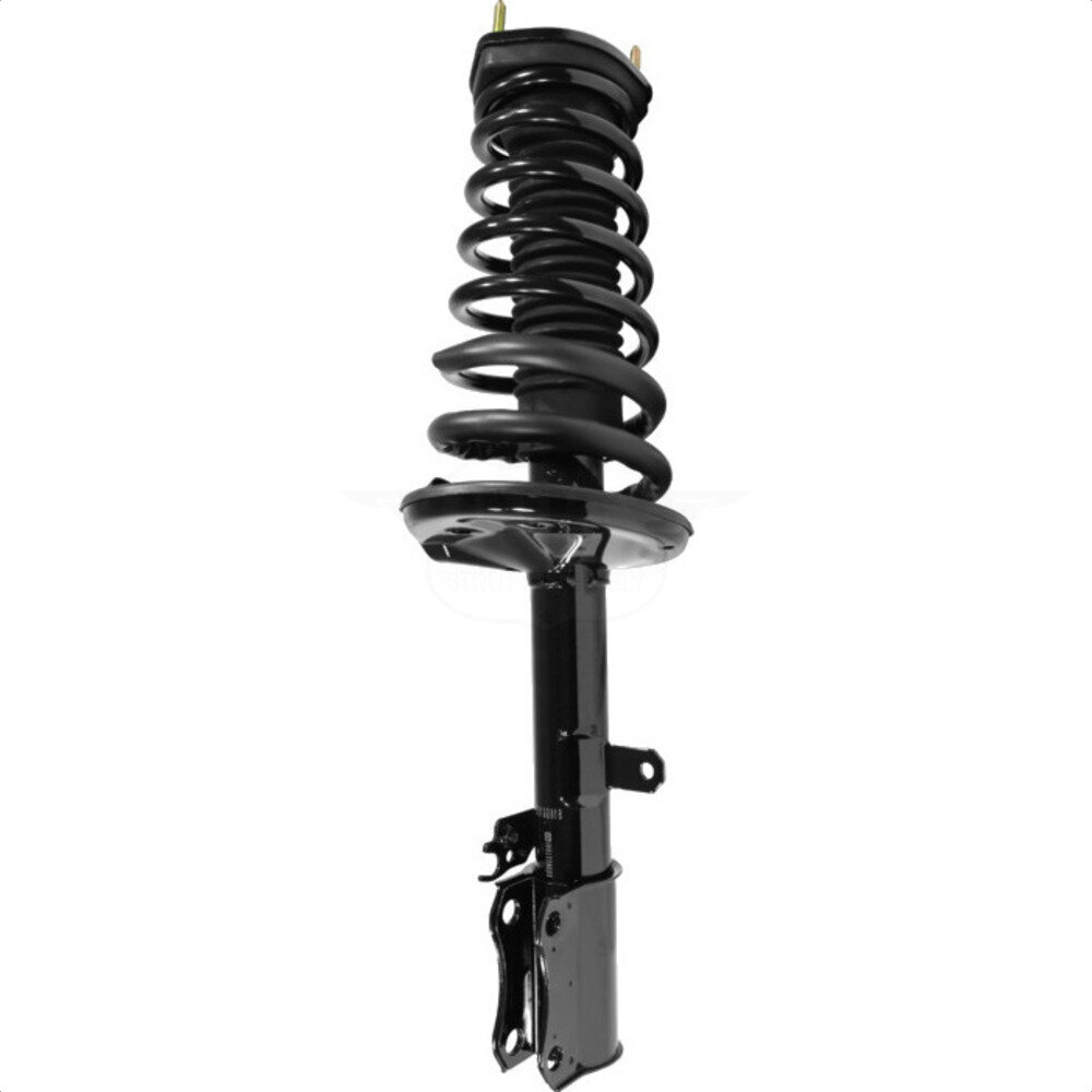 Suspension Strut Coil Spring Assembly