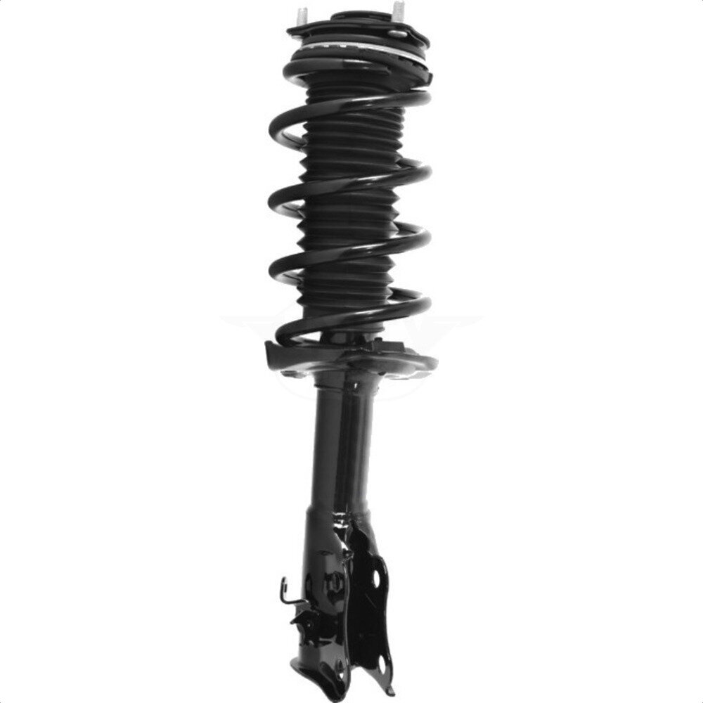 Suspension Strut Coil Spring Assembly