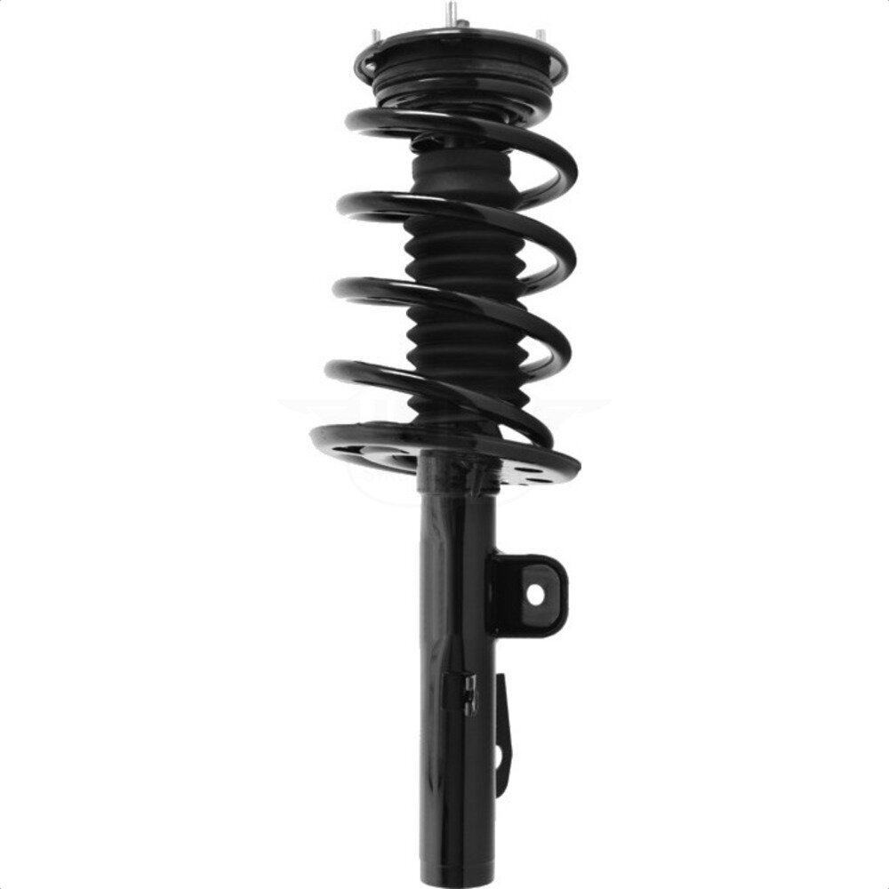 Suspension Strut Coil Spring Assembly