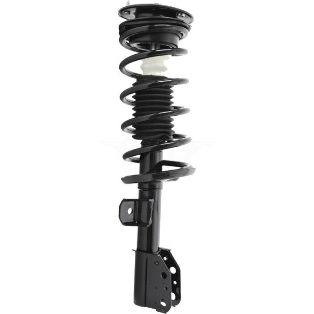 Suspension Strut Coil Spring Assembly
