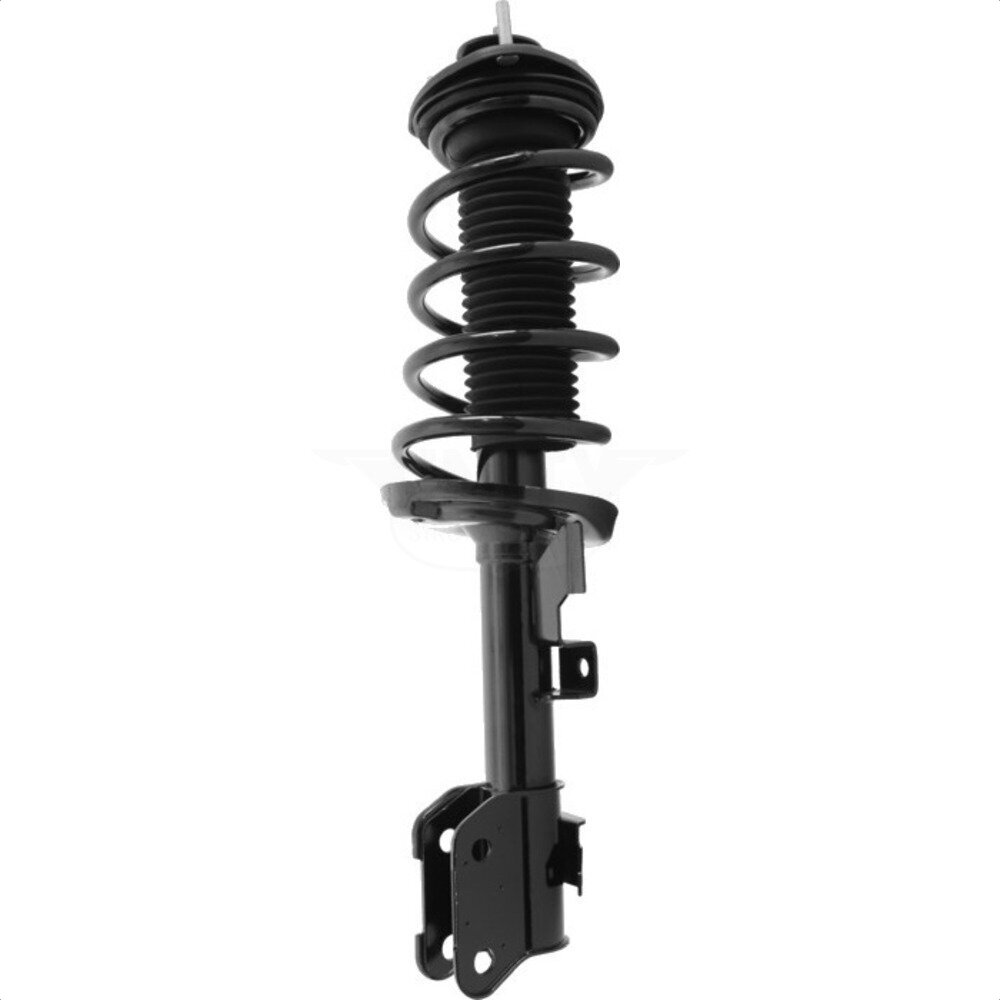 Suspension Strut Coil Spring Assembly
