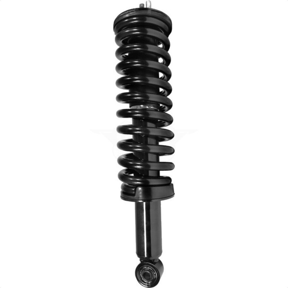 Suspension Strut Coil Spring Assembly