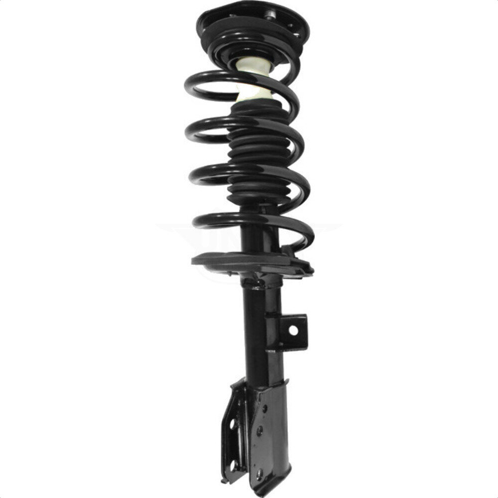 Suspension Strut Coil Spring Assembly
