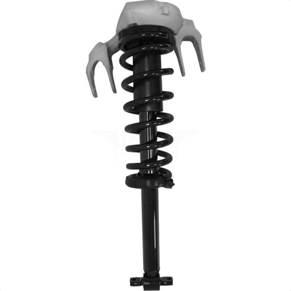 Suspension Strut Coil Spring Assembly