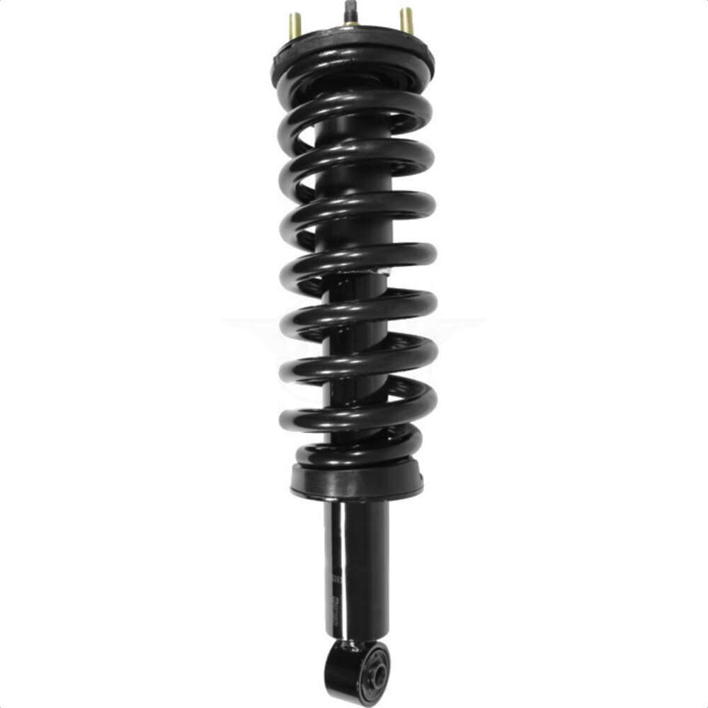 Suspension Strut Coil Spring Assembly