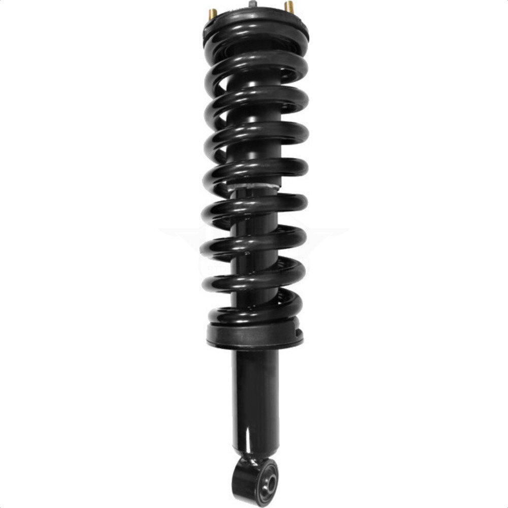 Suspension Strut Coil Spring Assembly