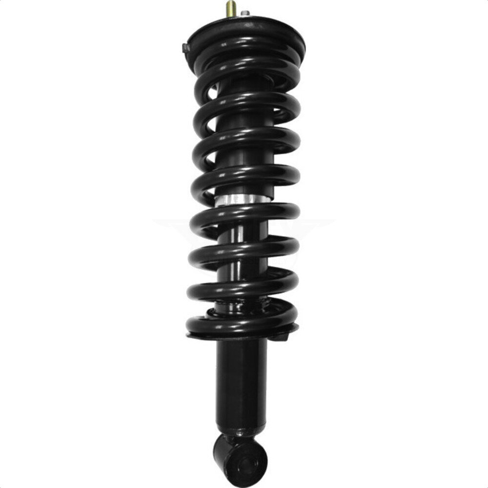 Suspension Strut Coil Spring Assembly