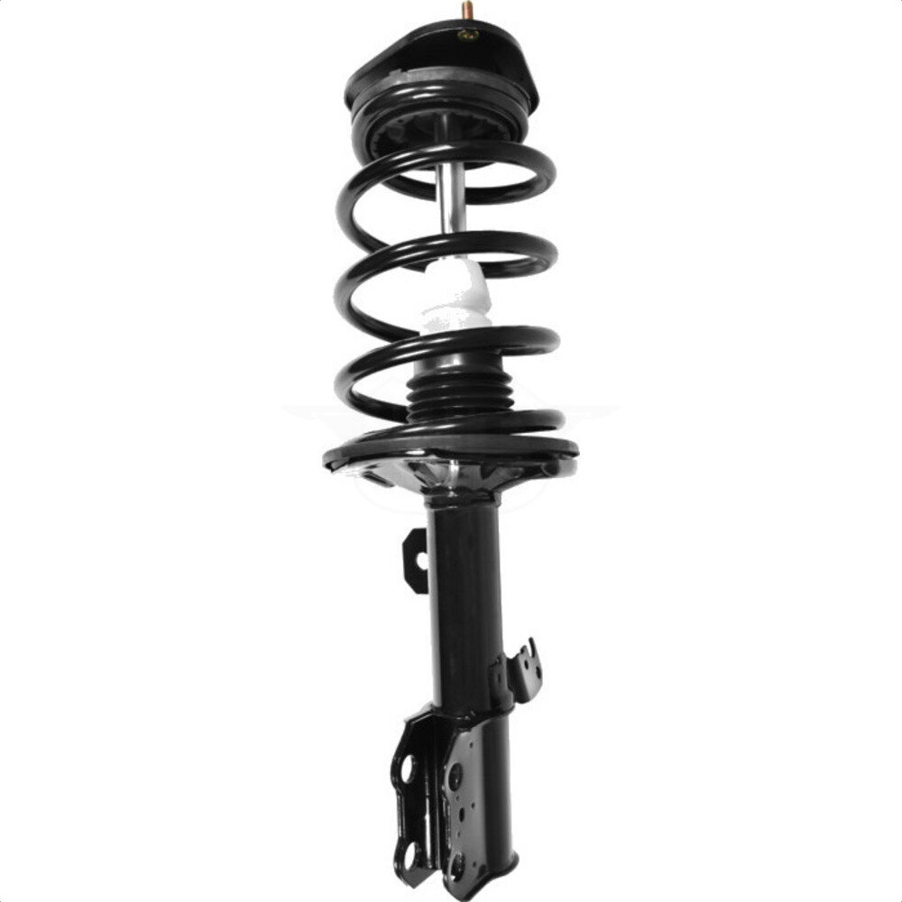 Suspension Strut Coil Spring Assembly