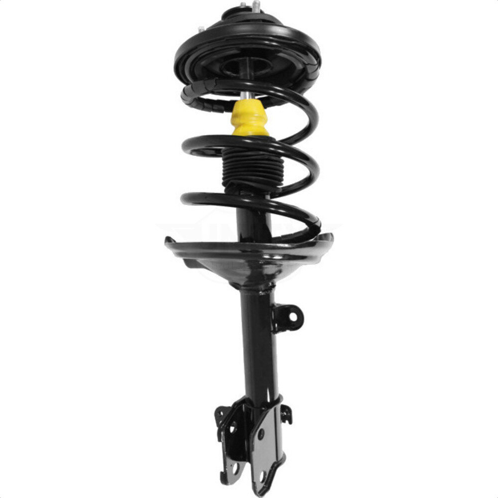 Suspension Strut Coil Spring Assembly