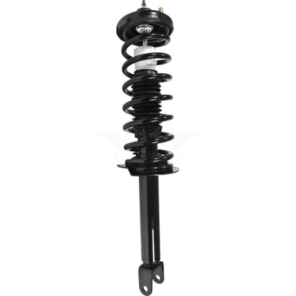 Suspension Strut Coil Spring Assembly