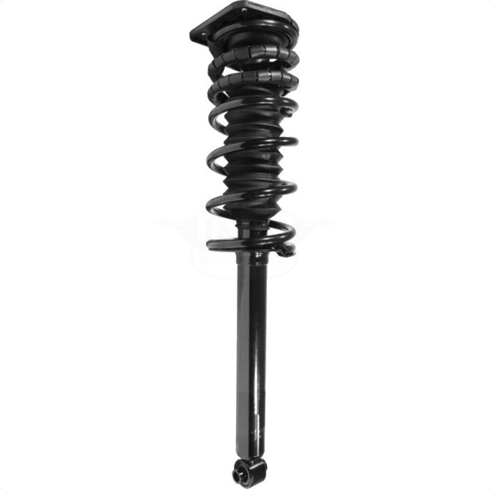 Suspension Strut Coil Spring Assembly