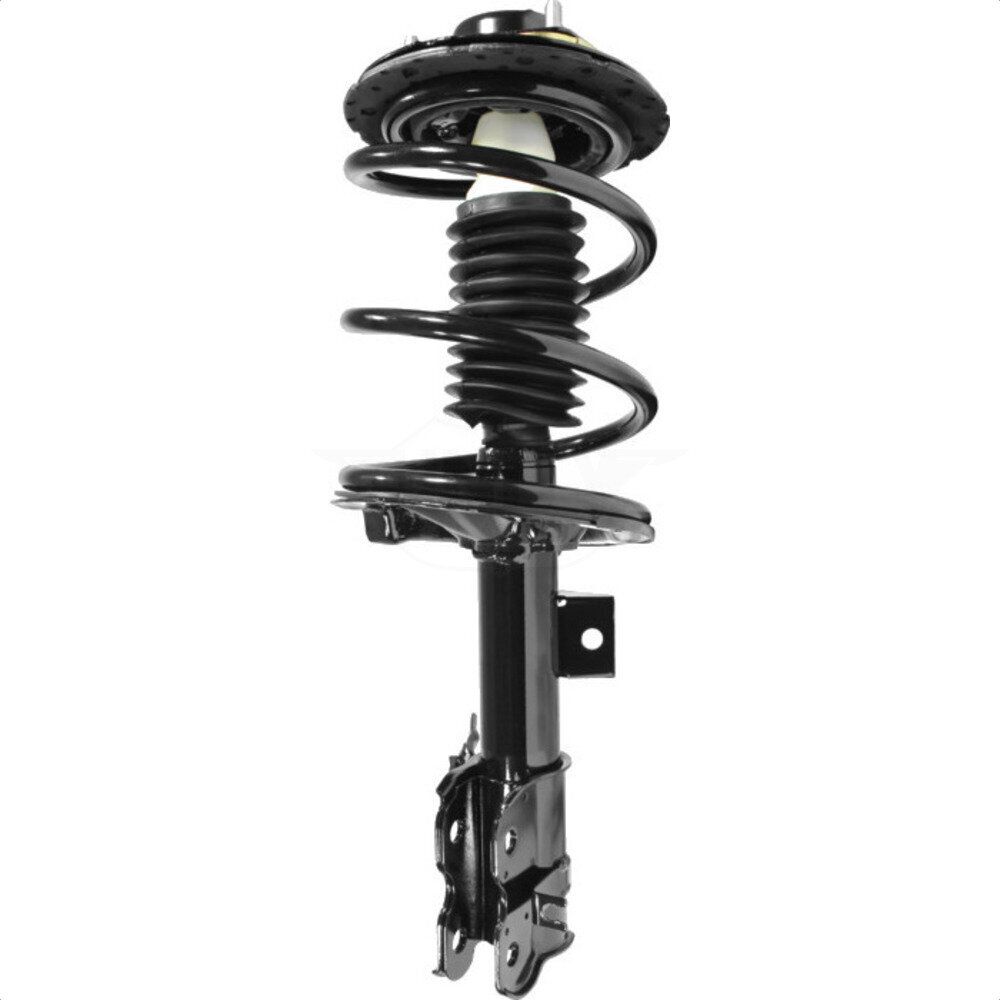 Suspension Strut Coil Spring Assembly
