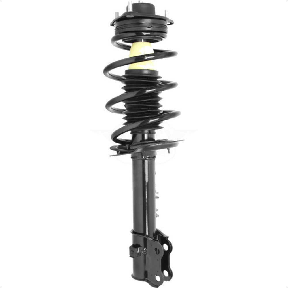 Suspension Strut Coil Spring Assembly