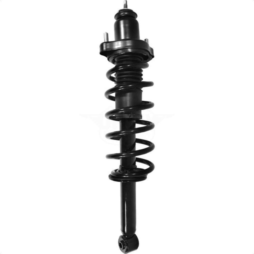 Suspension Strut Coil Spring Assembly