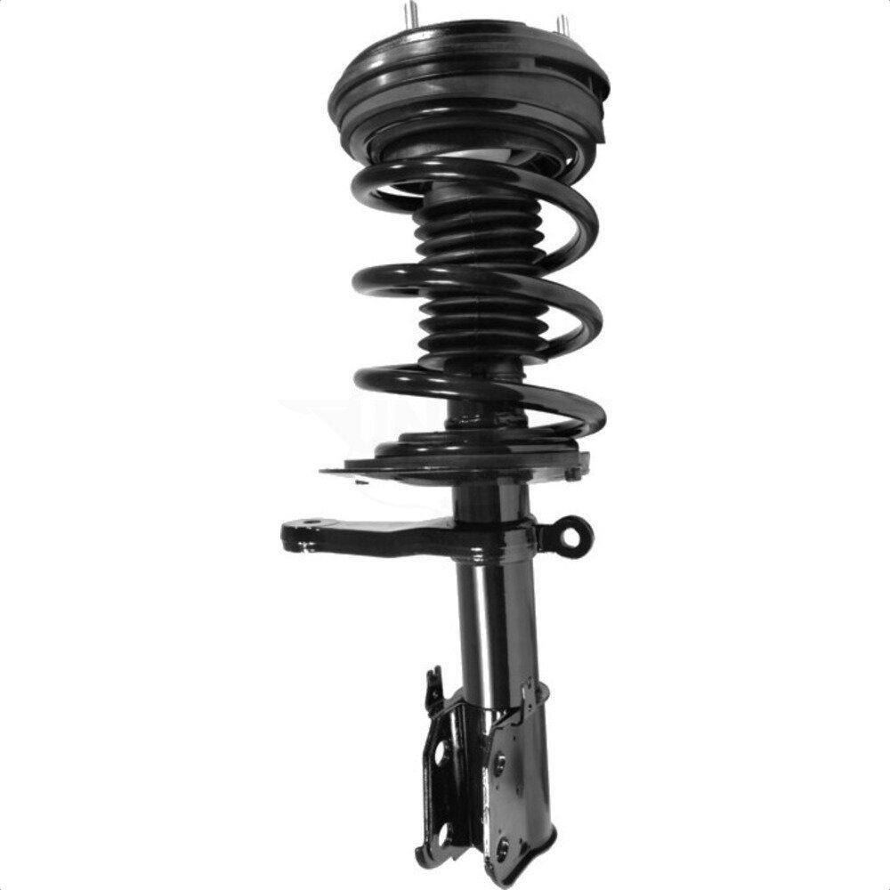 Suspension Strut Coil Spring Assembly