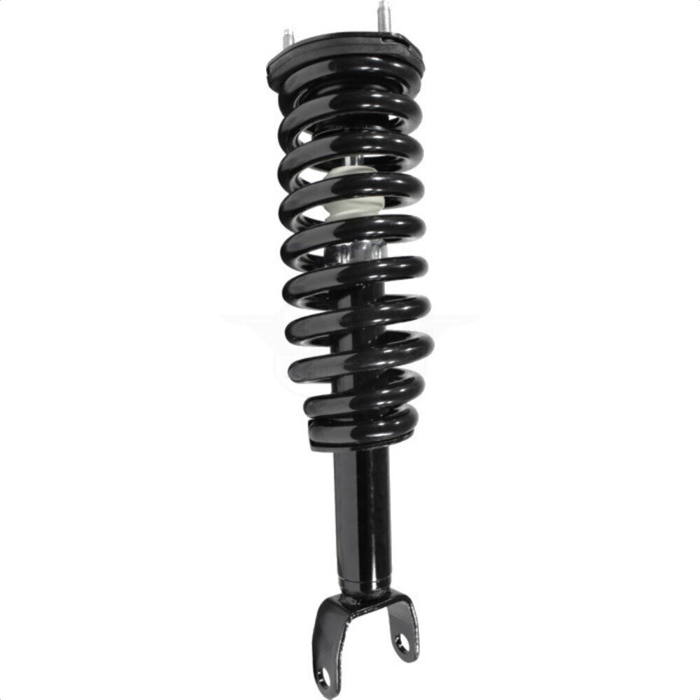 Suspension Strut Coil Spring Assembly