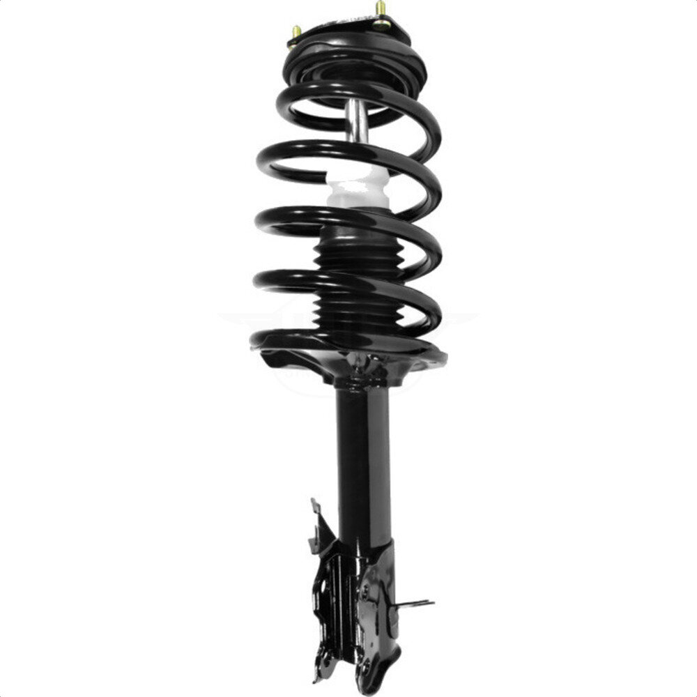 Suspension Strut Coil Spring Assembly