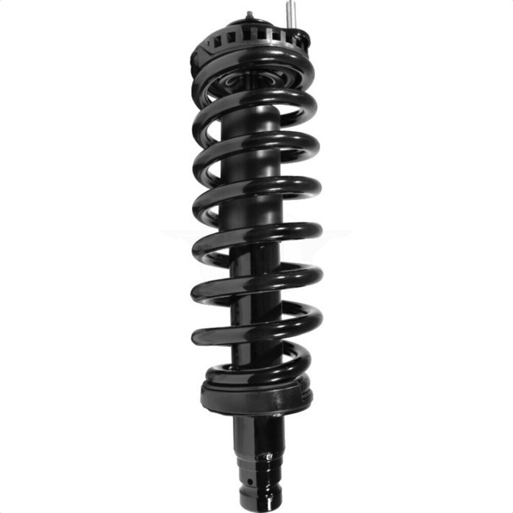 Suspension Strut Coil Spring Assembly