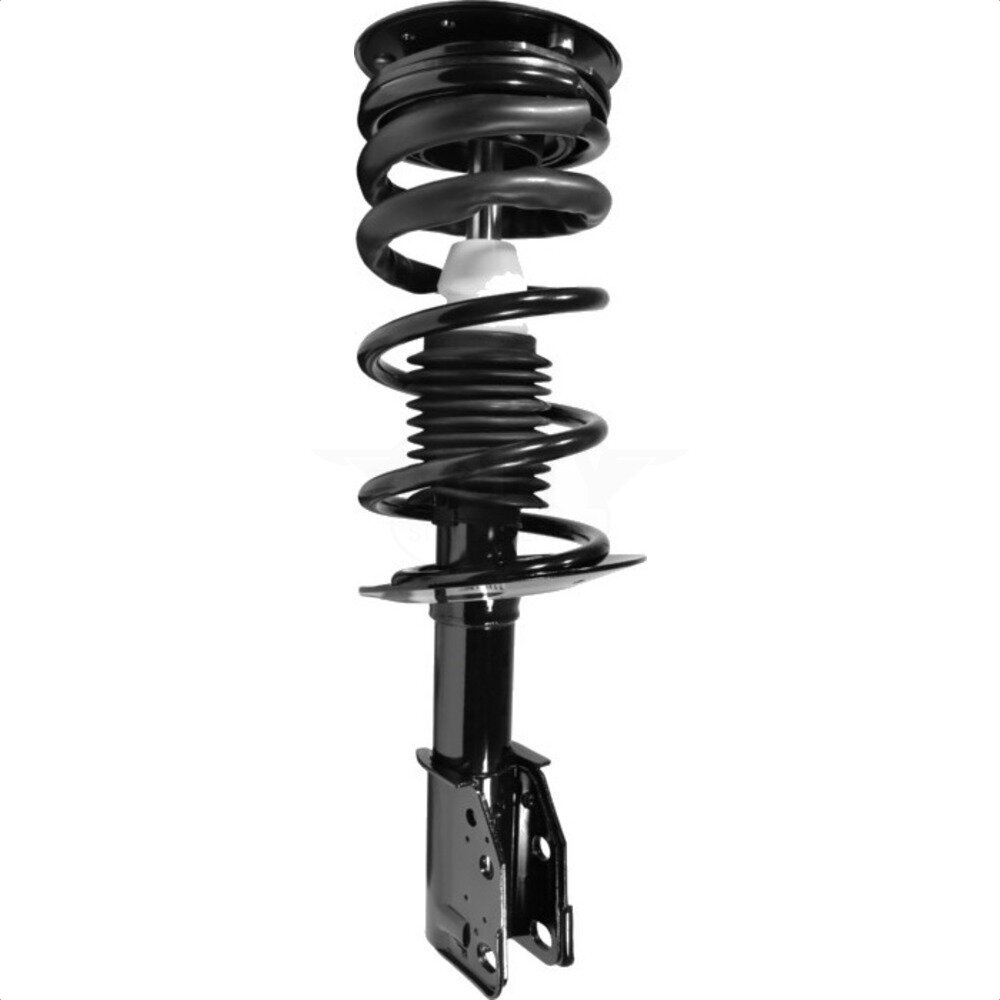 Suspension Strut Coil Spring Assembly