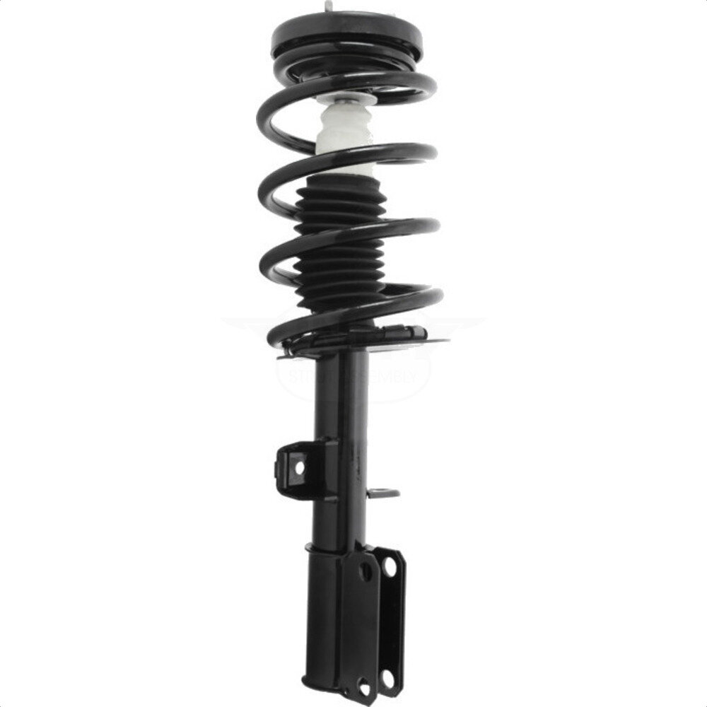 Suspension Strut Coil Spring Assembly