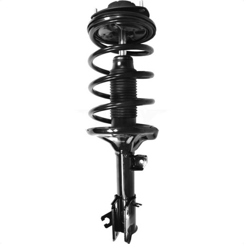 Suspension Strut Coil Spring Assembly