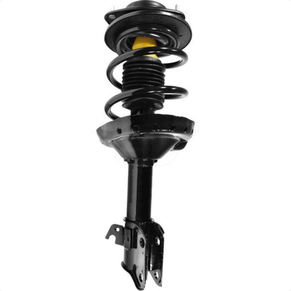 Suspension Strut Coil Spring Assembly