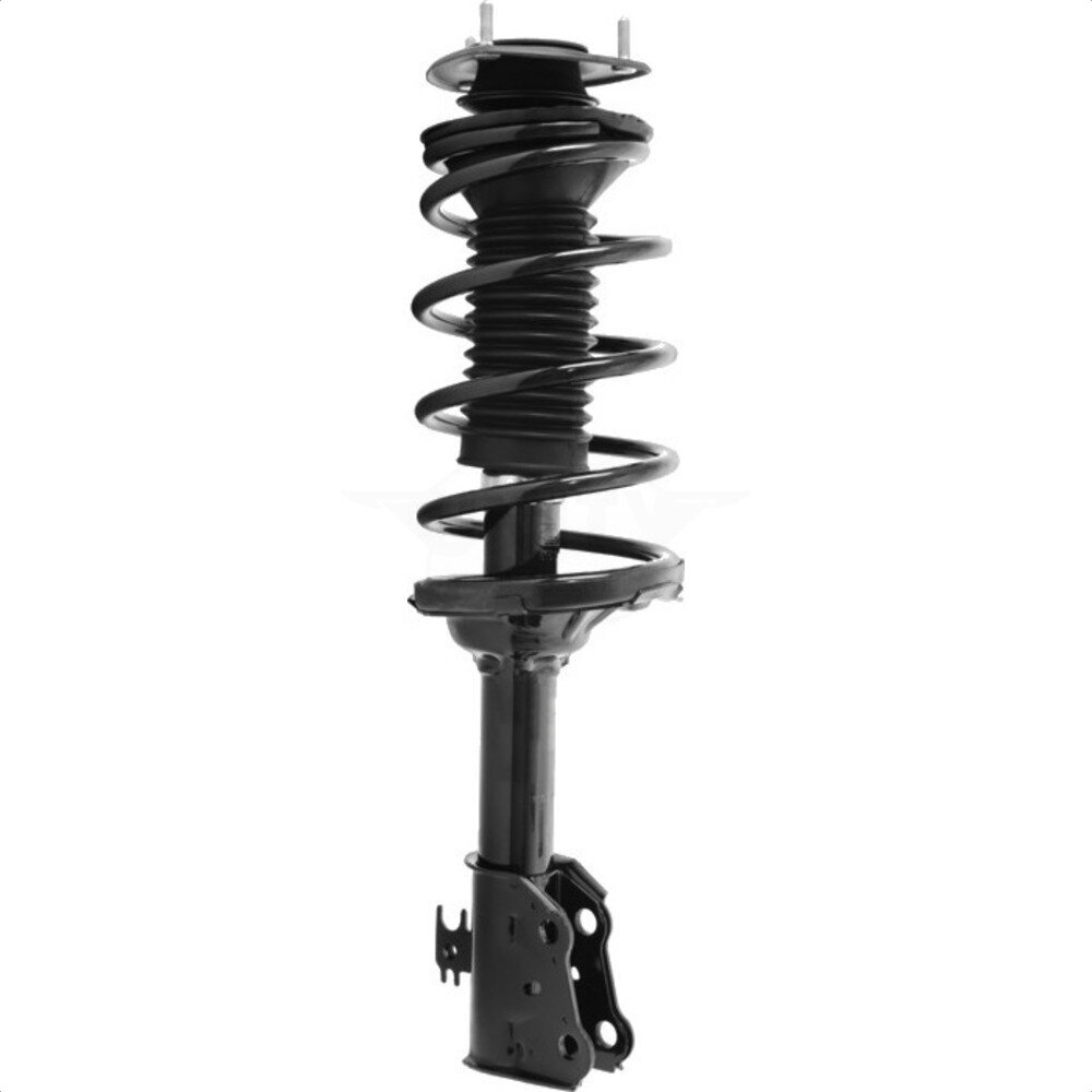 Suspension Strut Coil Spring Assembly