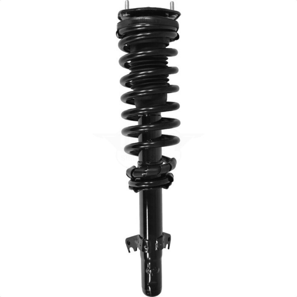 Suspension Strut Coil Spring Assembly