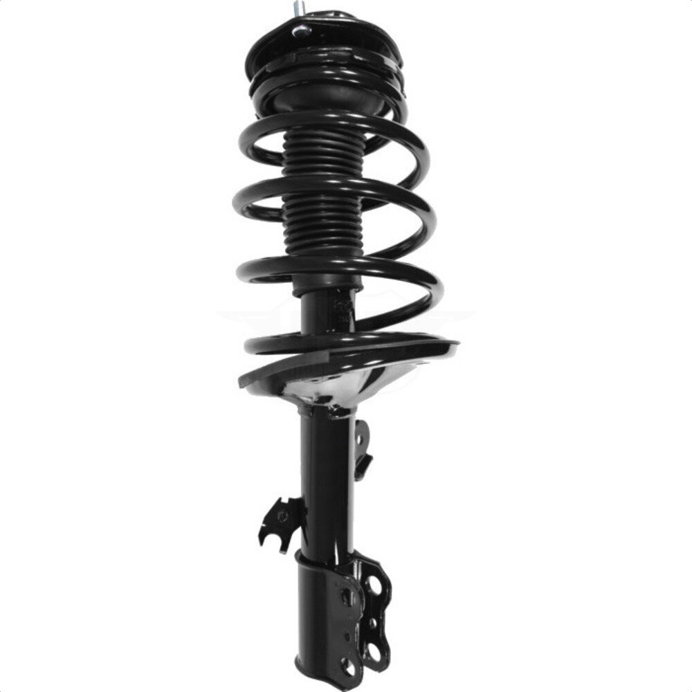 Suspension Strut Coil Spring Assembly