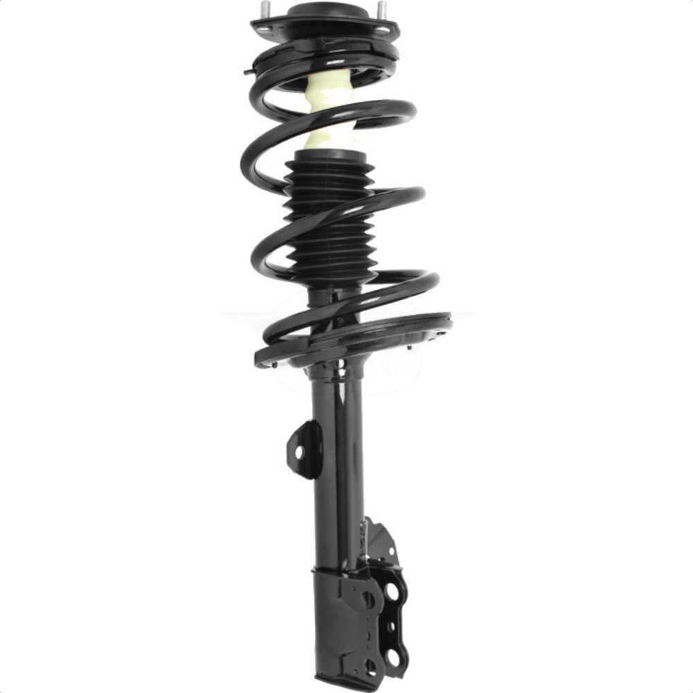 Suspension Strut Coil Spring Assembly