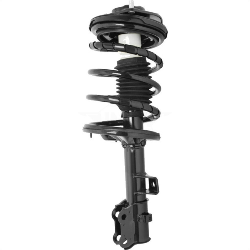 Suspension Strut Coil Spring Assembly