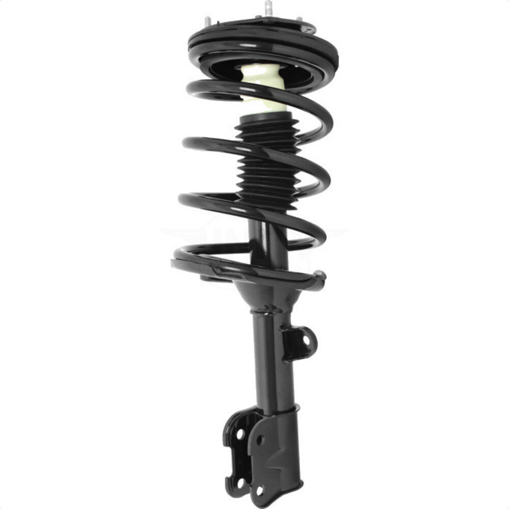 Suspension Strut Coil Spring Assembly