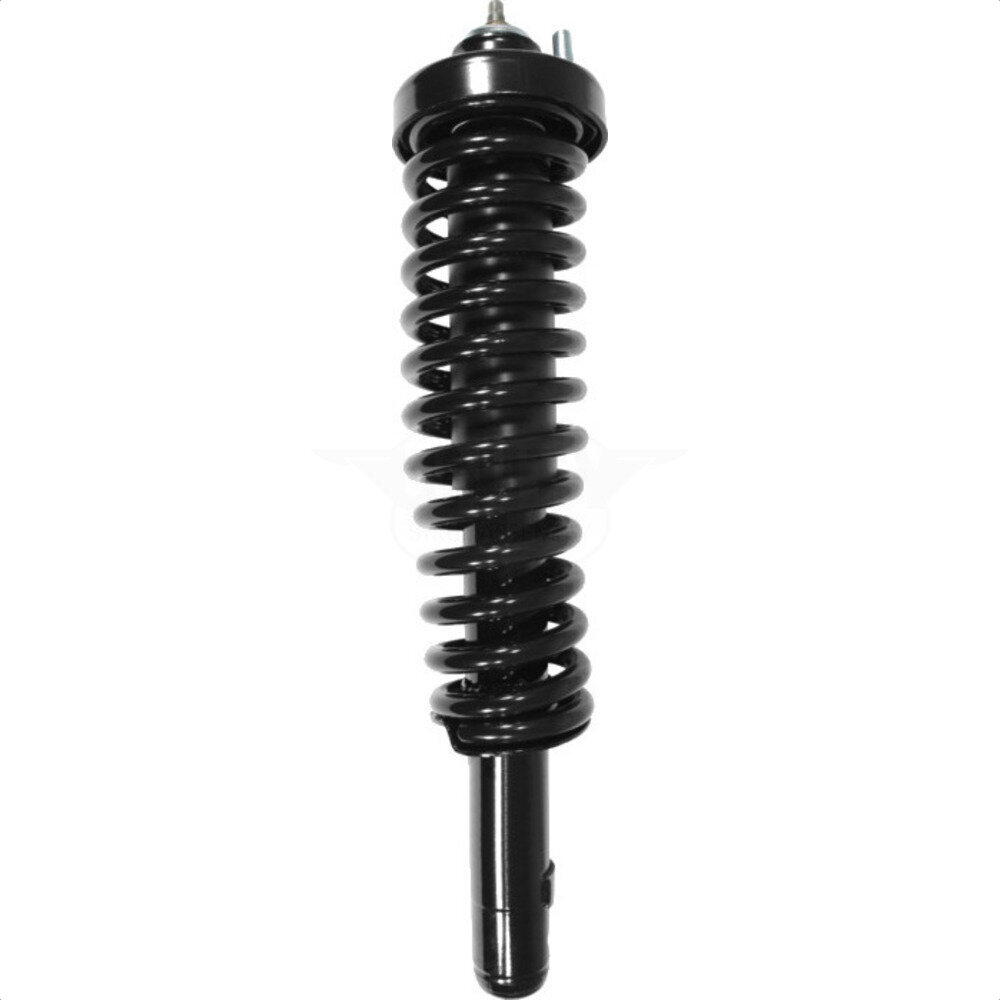 Suspension Strut Coil Spring Assembly