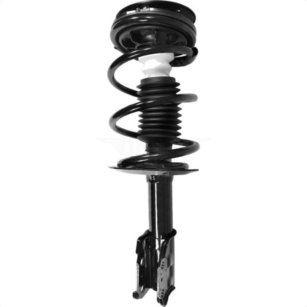 Suspension Strut Coil Spring Assembly