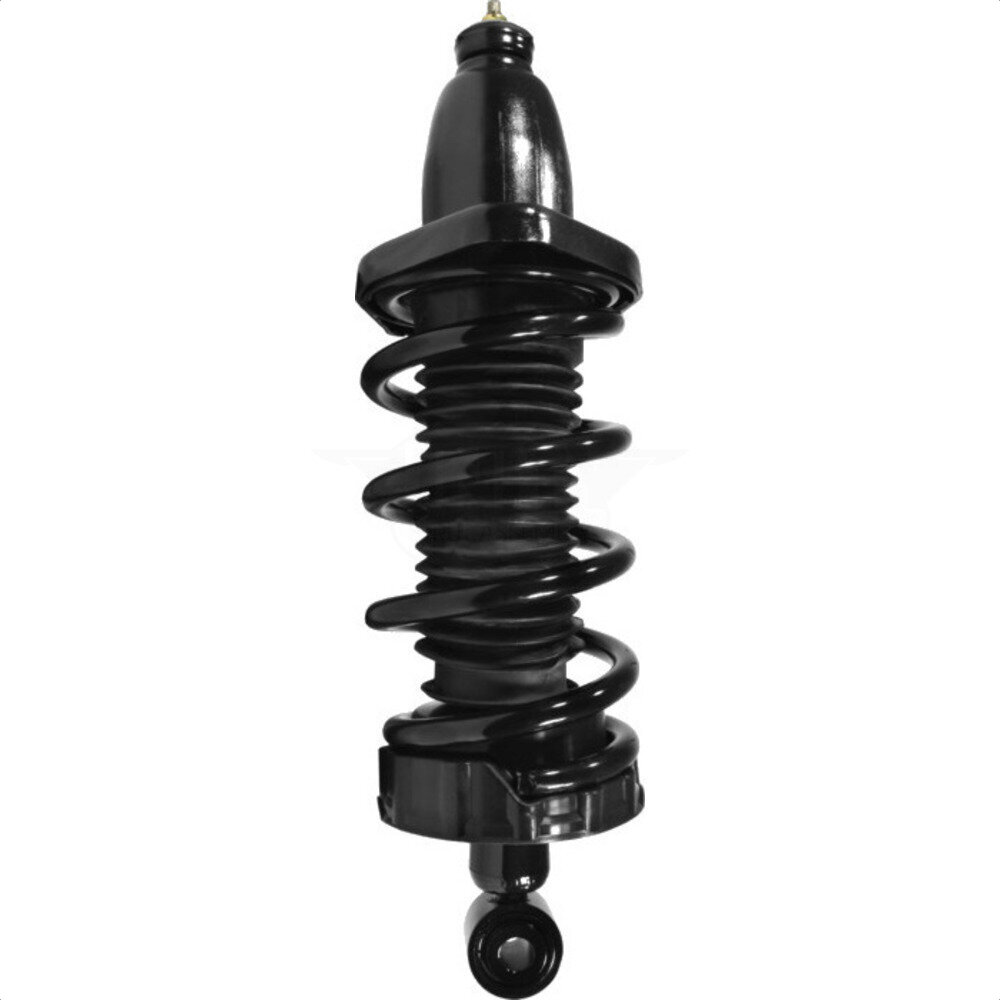 Suspension Strut Coil Spring Assembly
