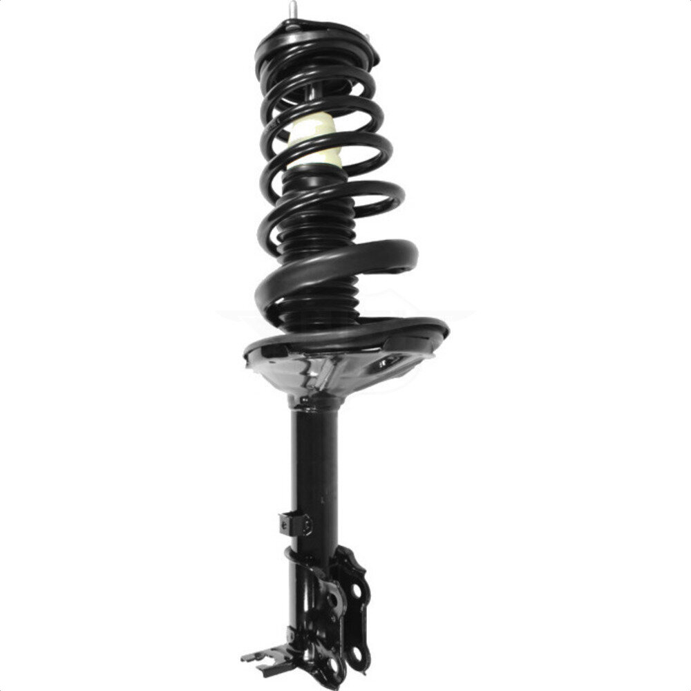 Suspension Strut Coil Spring Assembly