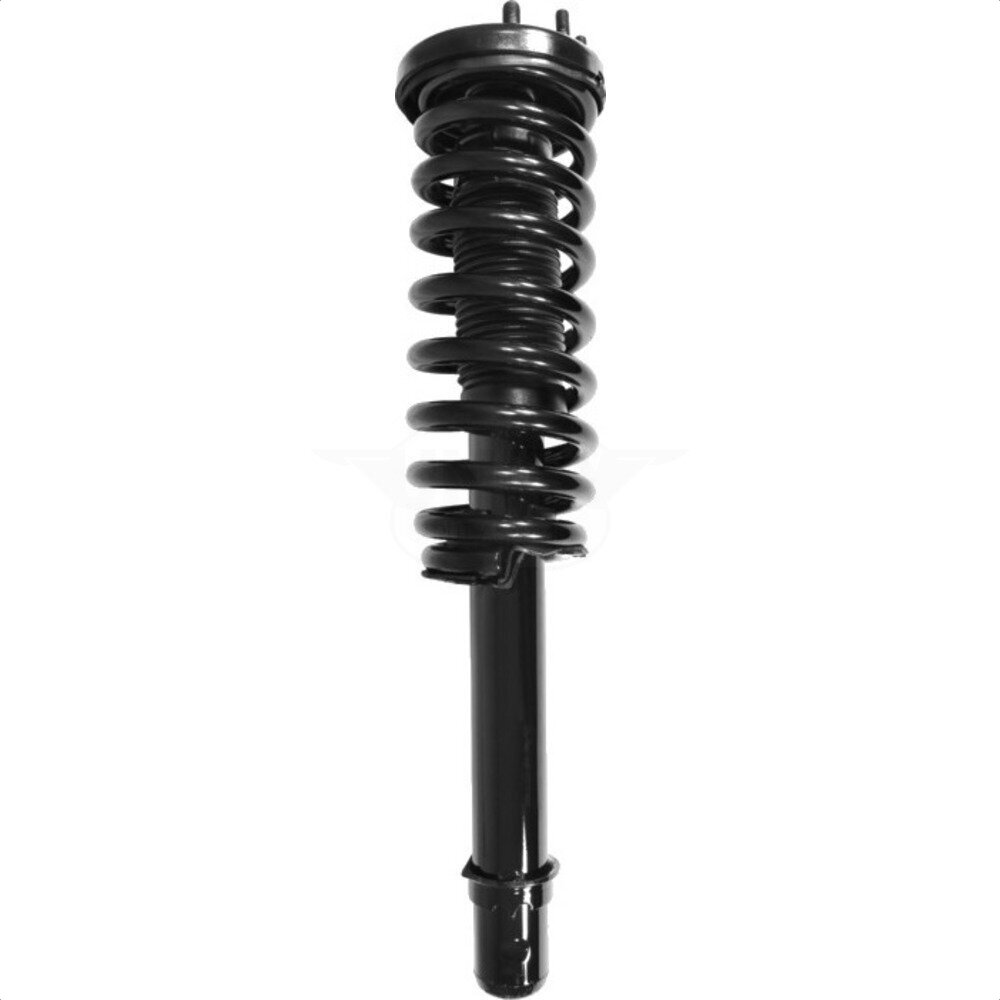 Suspension Strut Coil Spring Assembly