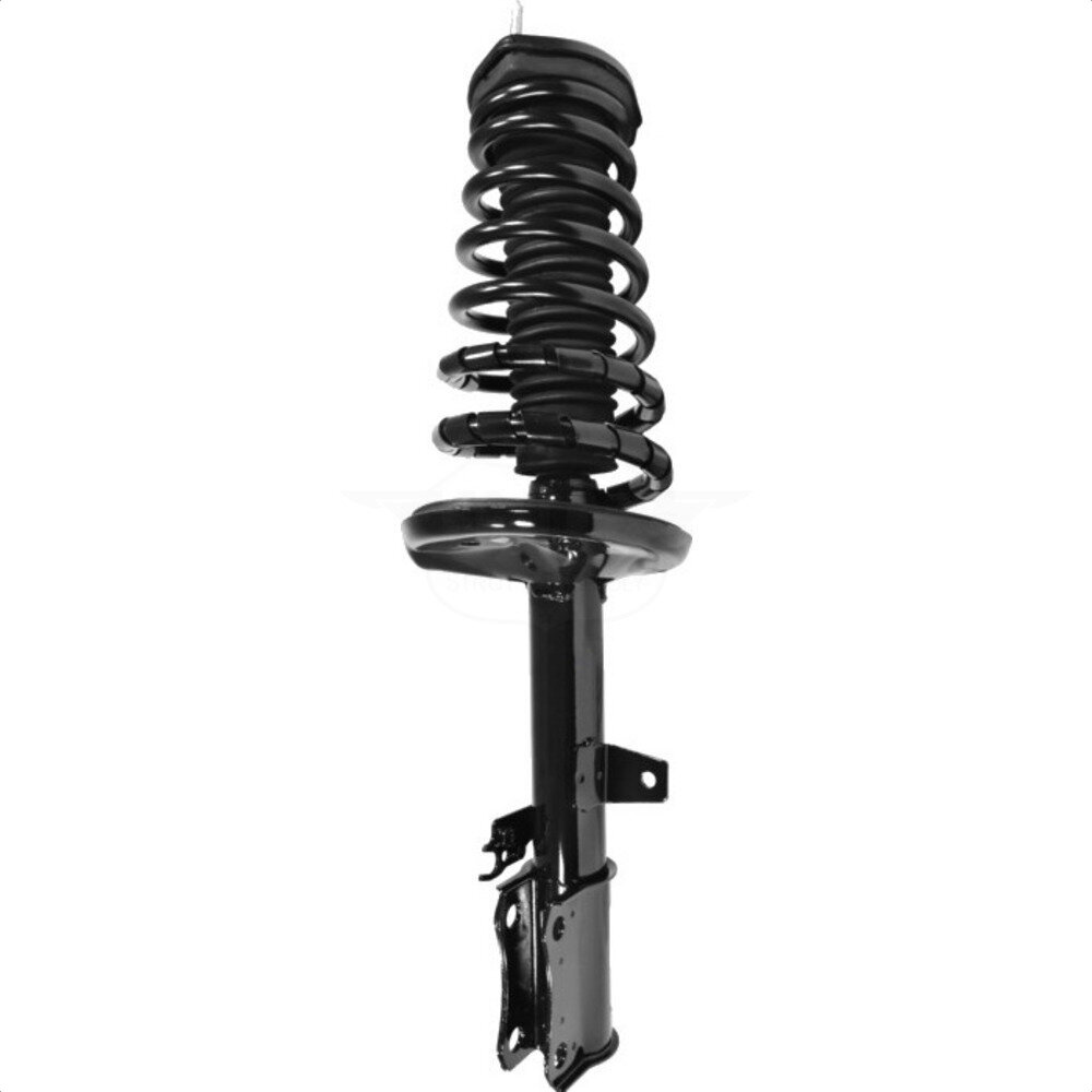 Suspension Strut Coil Spring Assembly