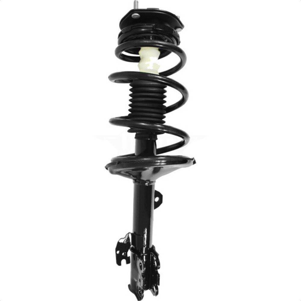 Suspension Strut Coil Spring Assembly