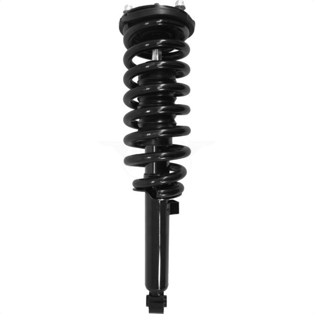 Suspension Strut Coil Spring Assembly