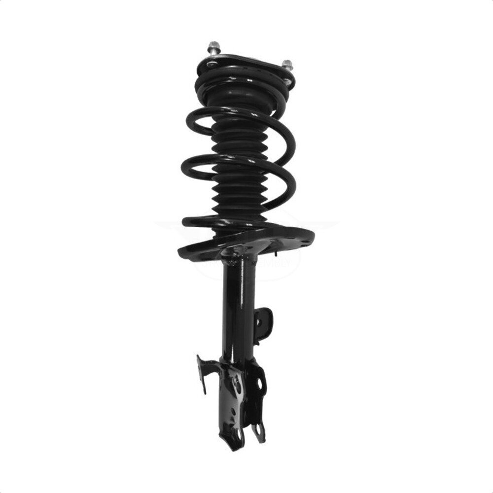 Suspension Strut Coil Spring Assembly