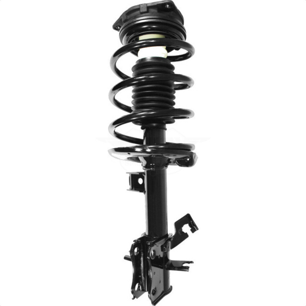 Suspension Strut Coil Spring Assembly