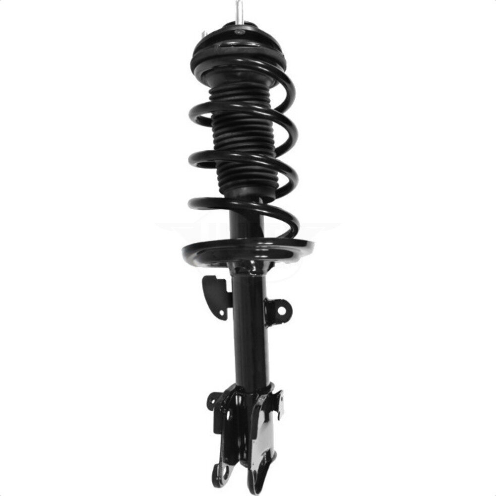 Suspension Strut Coil Spring Assembly