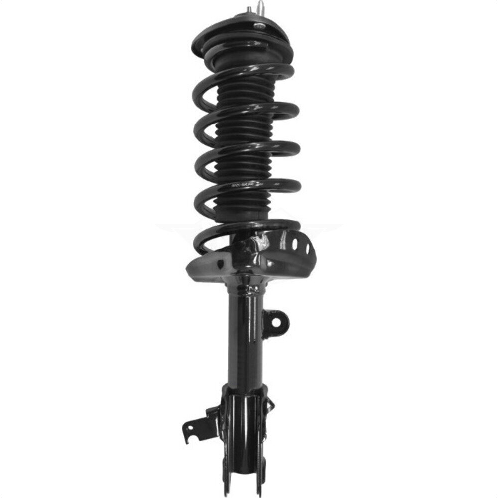 Suspension Strut Coil Spring Assembly